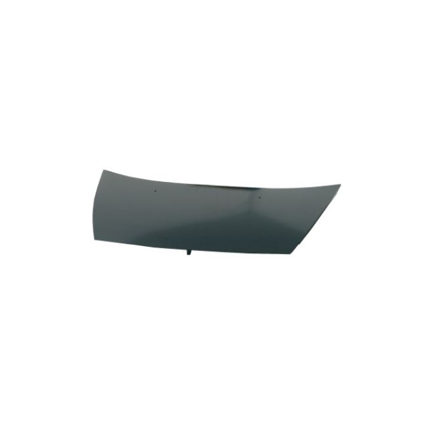 Motorhaube für Citroën C3 I (FC, FN) ab 2002-2005 Bonnet Neuware Stahl