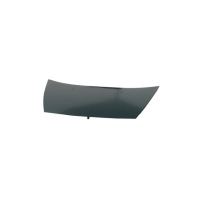 Motorhaube für Citroën C3 I (FC,FN) ab 2005-2009 Bonnet Neuware Stahl