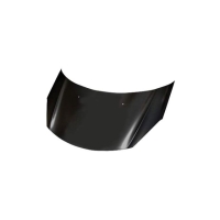 Motorhaube für Citroën C3 II (SC) ab 2009-2016 Bonnet Neuware Stahl