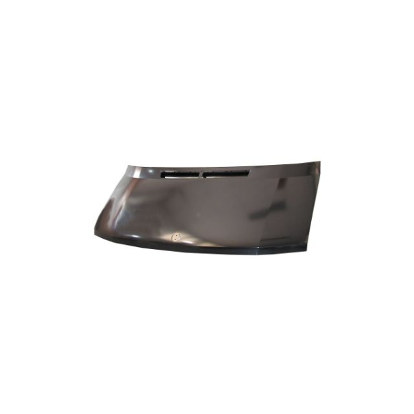 Motorhaube für Mercedes Sprinter 901 902 903 904 905 ab 1995-2006 Bonnet