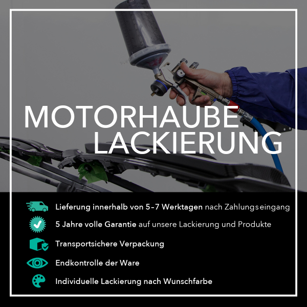 Lackierung einer Motorhaube Wunschfarbe