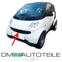 Smart Fortwo Cabrio Coupe 450 Kühlergitter vorne Schwarz Glatt Lackierfähig Bj. 03-07