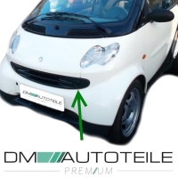 Smart Fortwo 450 Nebelscheinwerfer rechts/links...