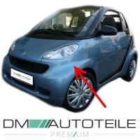 Smart Fortwo Coupe Cabrio 451 Kotflügel vo. links Grund. ABS + Blinkerloch 07-14