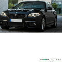 Dämmatte Motorhaube Motorhaubendämmung Motorraumdämmung +Montagekit passt für BMW 5er F10 F11 alle Fzg. OE: 5148 6 989 301