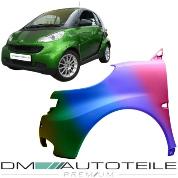 Smart Fortwo Coupe Cabrio 451 Kotflügel links ABS + Blinkerloch 07-14 LACKIERT