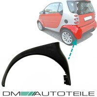 Smart City Coupe 450 Fortwo Kotflügel SET hinten Links & Rechts 1998-2007 ABS